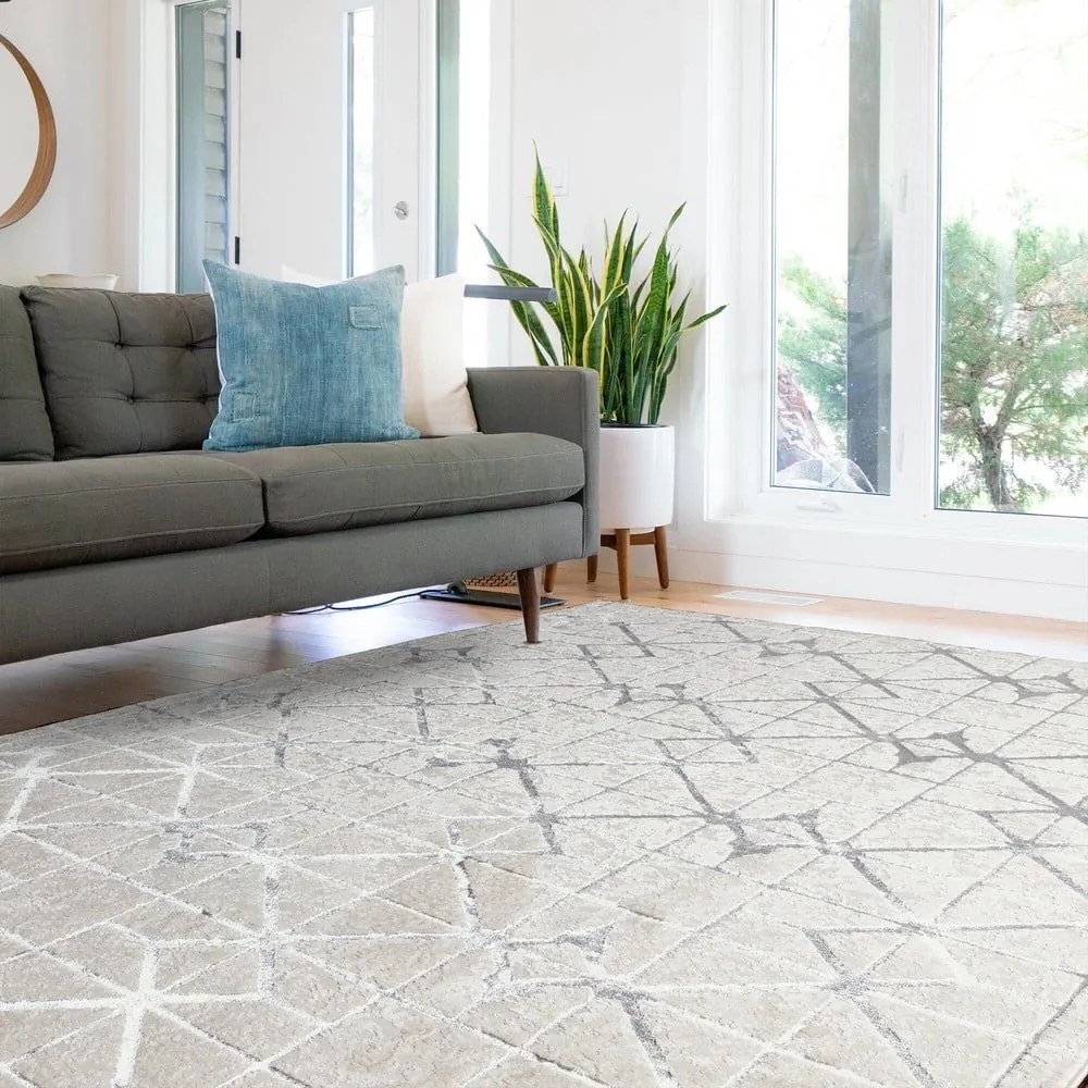 Ezüstszínű-rózsaszín szőnyeg 230x160 cm Aurora - Asiatic Carpets