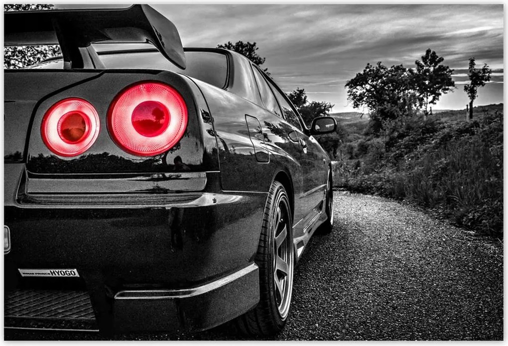 Poszterek 200x135 Nissan Skyline Sport Cars