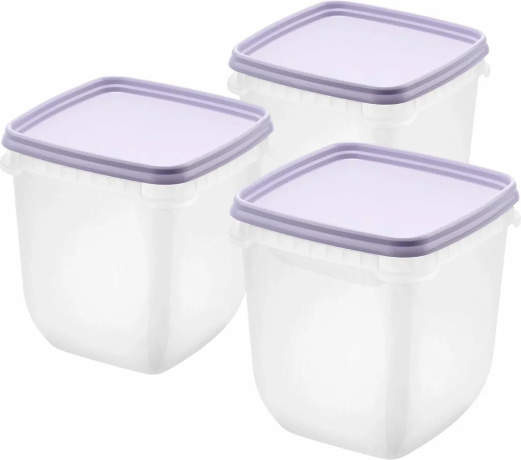 SmartStore Műanyag dobozok szett Freezer 3 db,levan dule, 1000 ml, 1000 ml