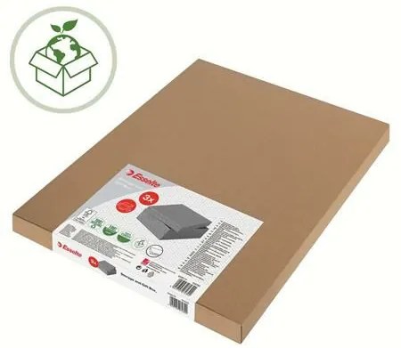 Tároló- és ajándékdoboz, ESSELTE Home, szürke (E628285)
