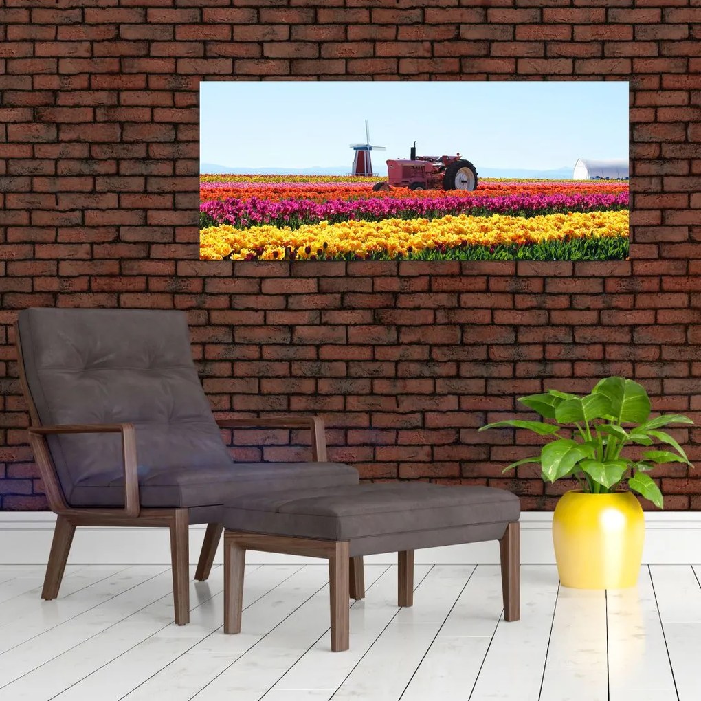 Tulipánfarm képe (120x50 cm)