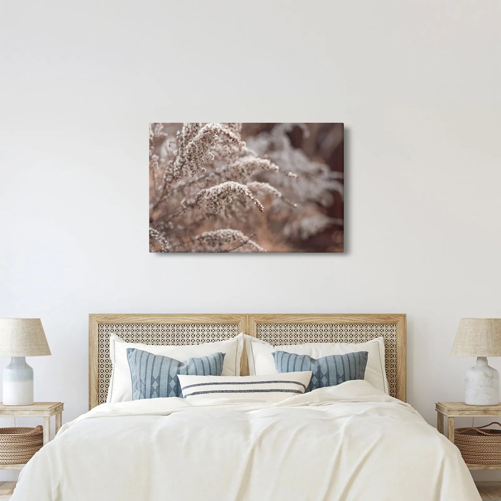 A növények képe (90x60 cm)