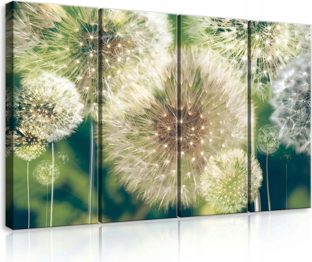 Vászonkép 120x80 Pitypang pitypang magok természet nyár könnyedség