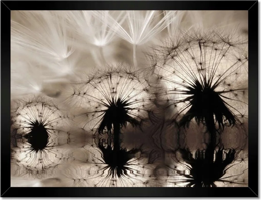 Poszterek keretben 40x30 Pitypangok szépia papírsárkányok