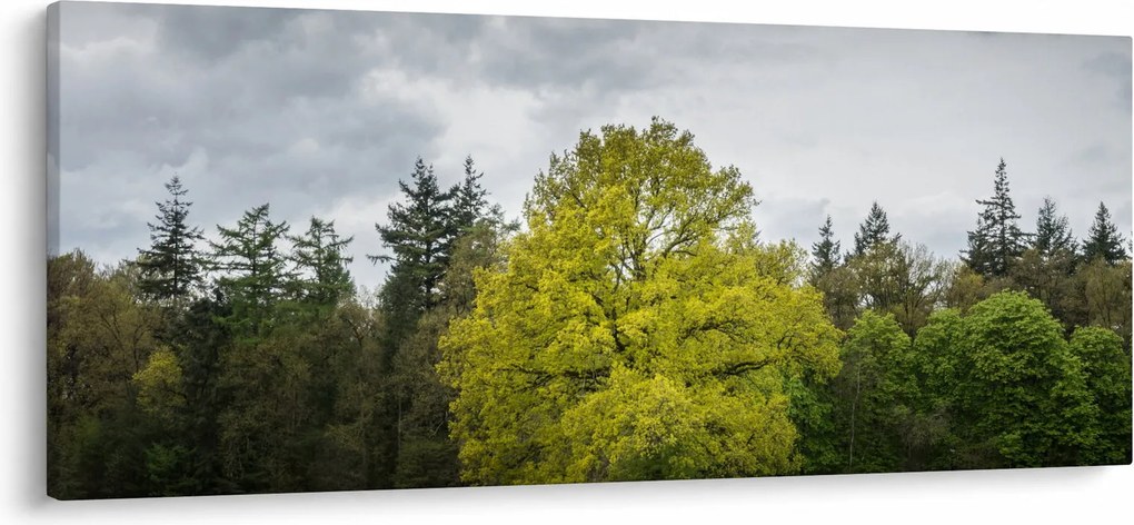 Egy zöld fa képe a mező közepén (120x50 cm)
