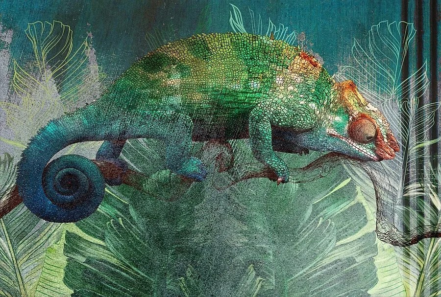 Modern falfestmény kaméleon tapéta wz1 Méretre