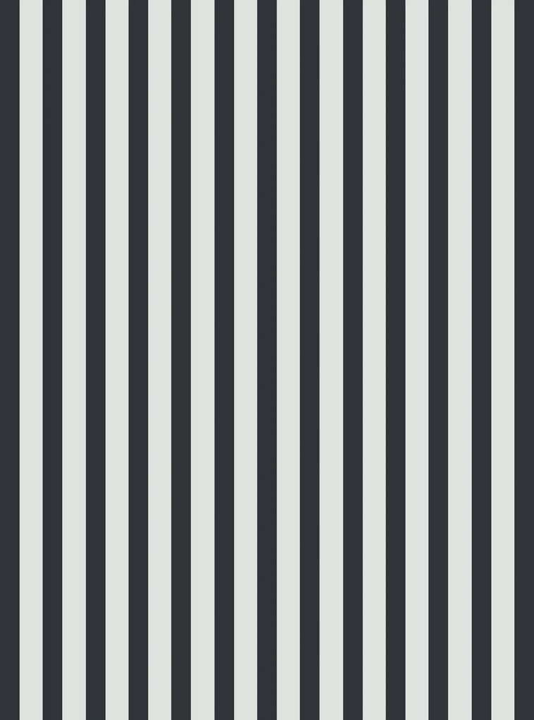 Pamut ágyneműhuzat MONOLINE fekete-fehér Ágyneműhuzat mérete: 70 x 80 cm | 140 x 200 cm