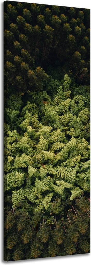Vászonkép Természet Fák a madár repüléséből Légi felvétel az erdőről 40x120