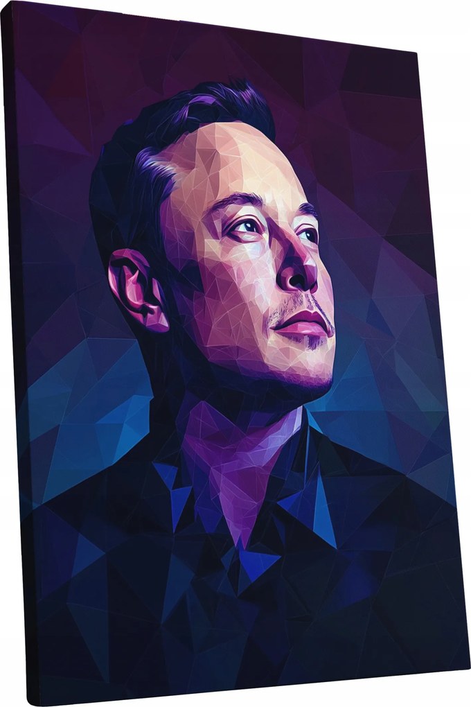Vászonkép Portré Elon Musk nappali Elon Musk ajándék 45x60