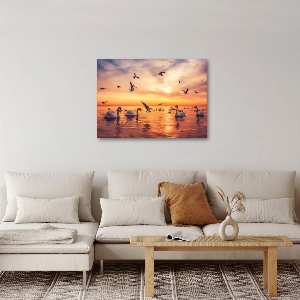 Kép - Hattyúk (70x50 cm)