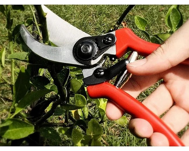 Kézi metszőollók 20 cm