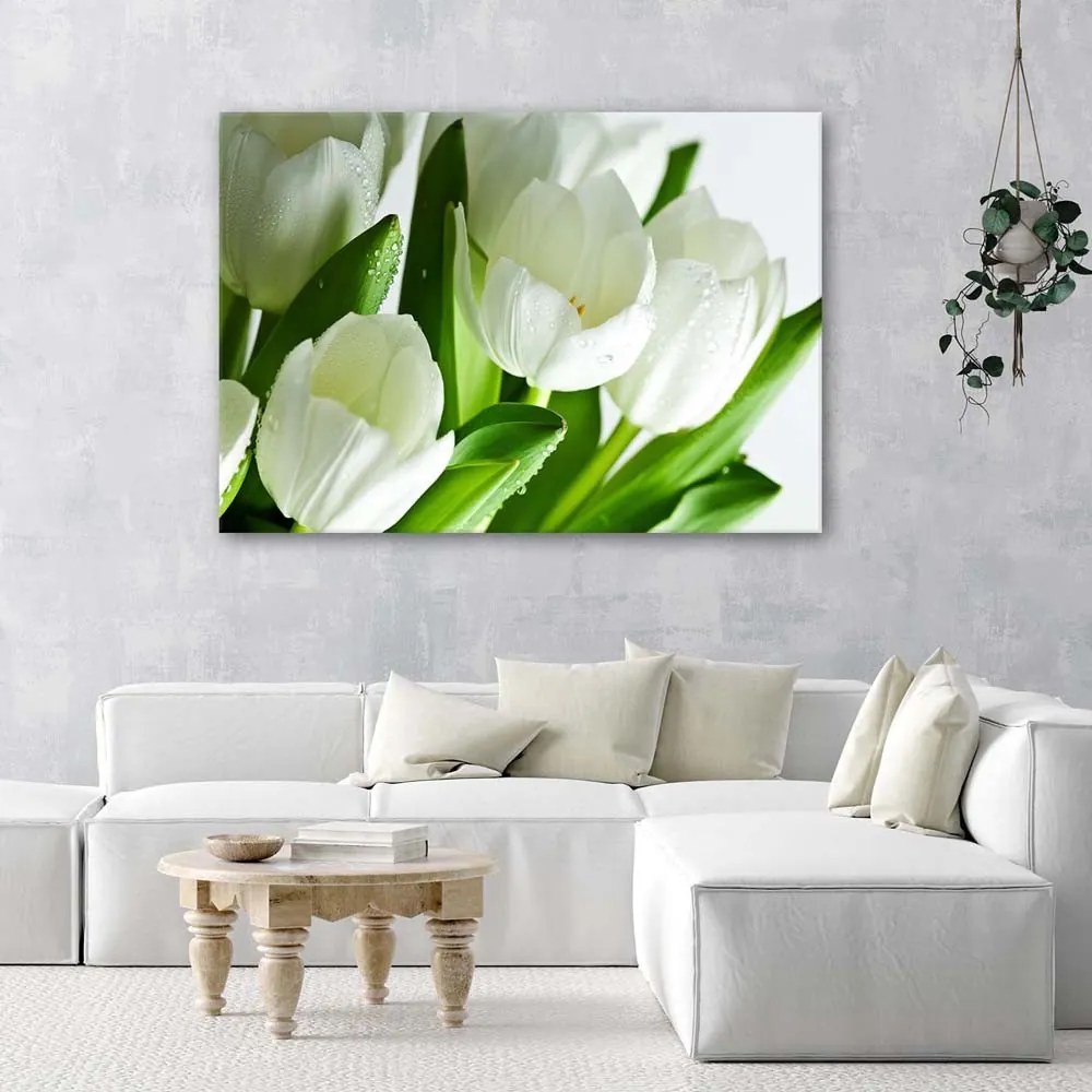 Gario Vászonkép Fehér tulipánok Méret: 120 x 80 cm