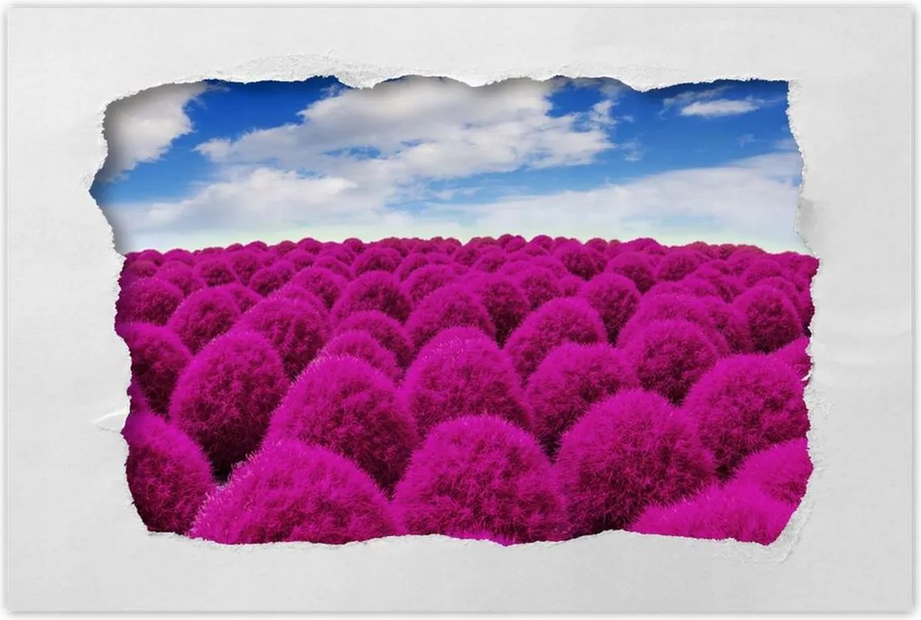 Poszterek 120x80 Kifejező rét Tájkép