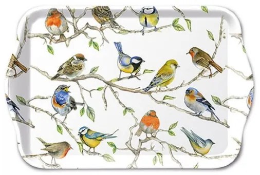 Tavaszi madaras műanyag kistálca 13x21 cm Birds Meeting