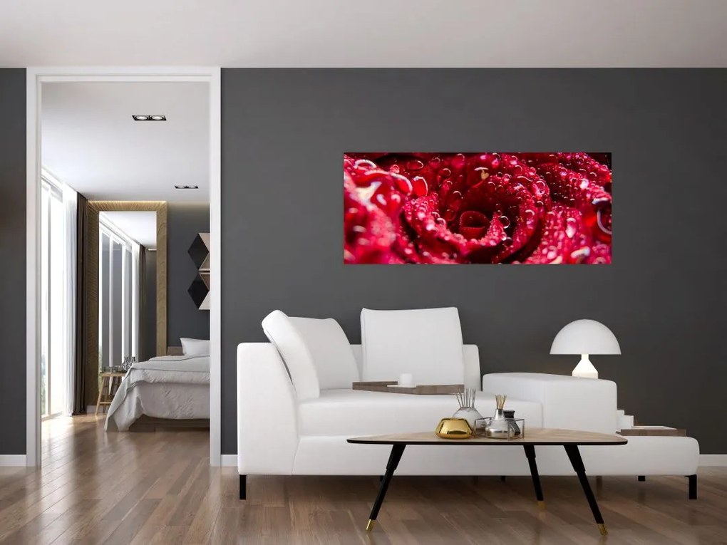 Vörös rózsa virágzata képe (120x50 cm)