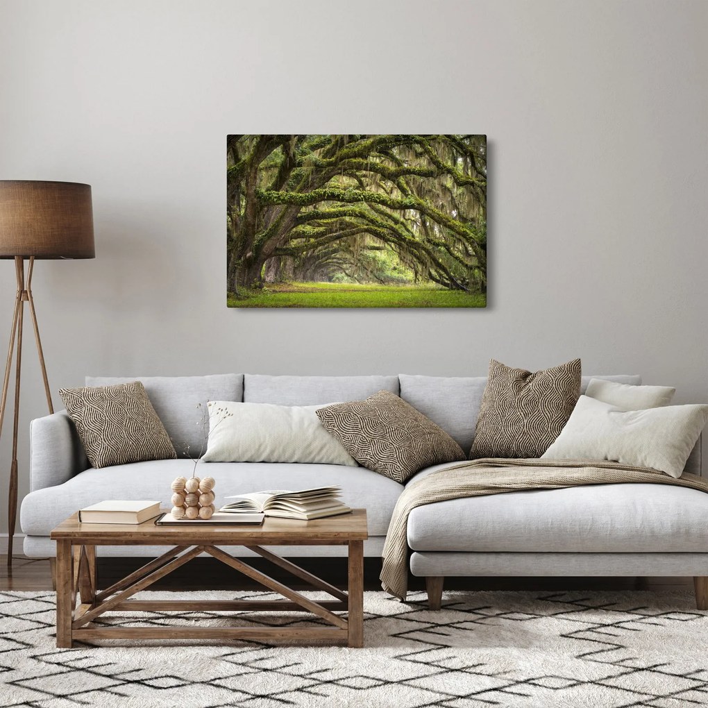 Kép - Oaks Avenue, Charleston, Dél-Karolina, Egyesült Államok (90x60 cm)