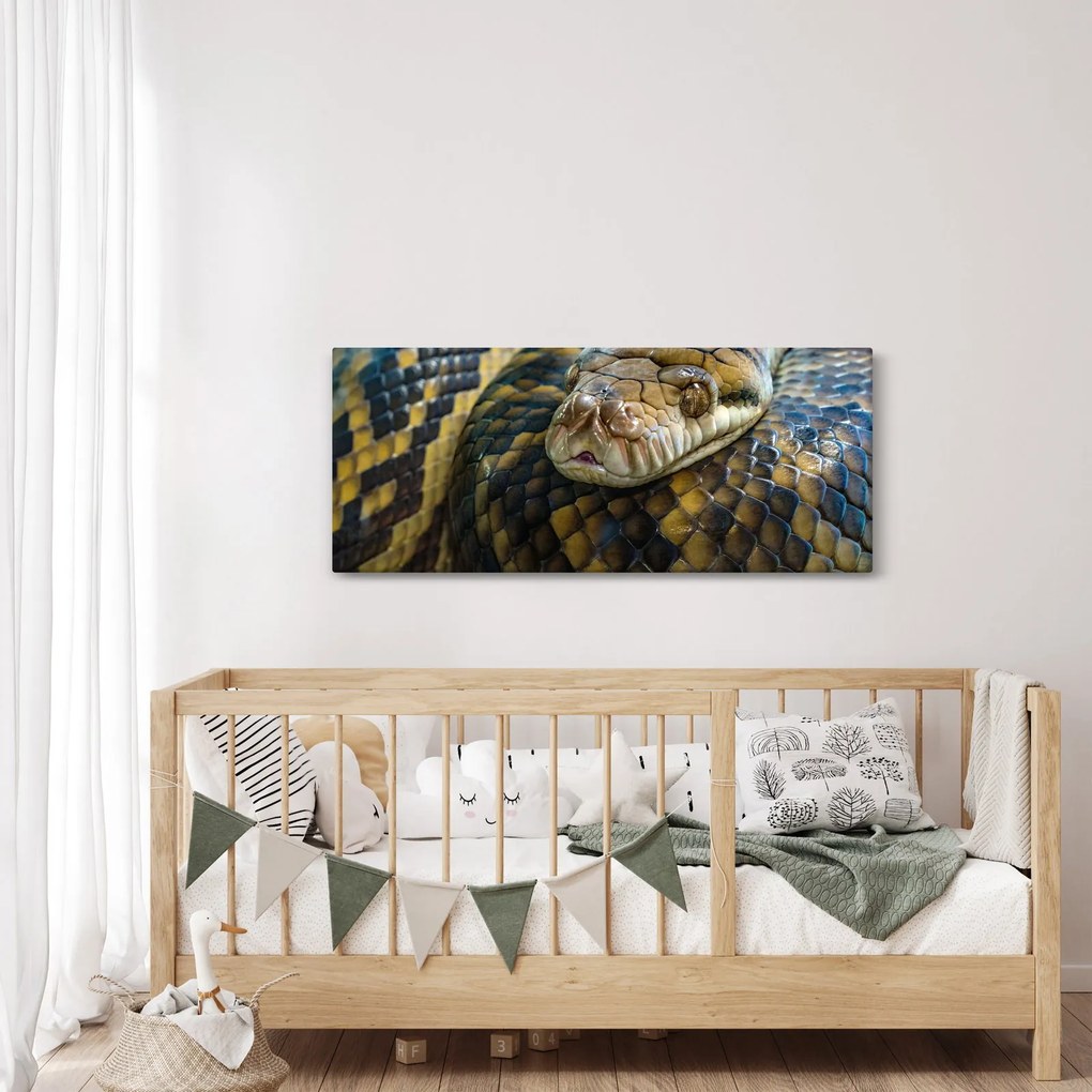 Kép - Piton (120x50 cm)