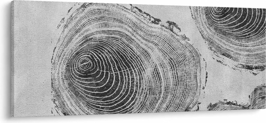 Kép - Fa motívum (120x50 cm)