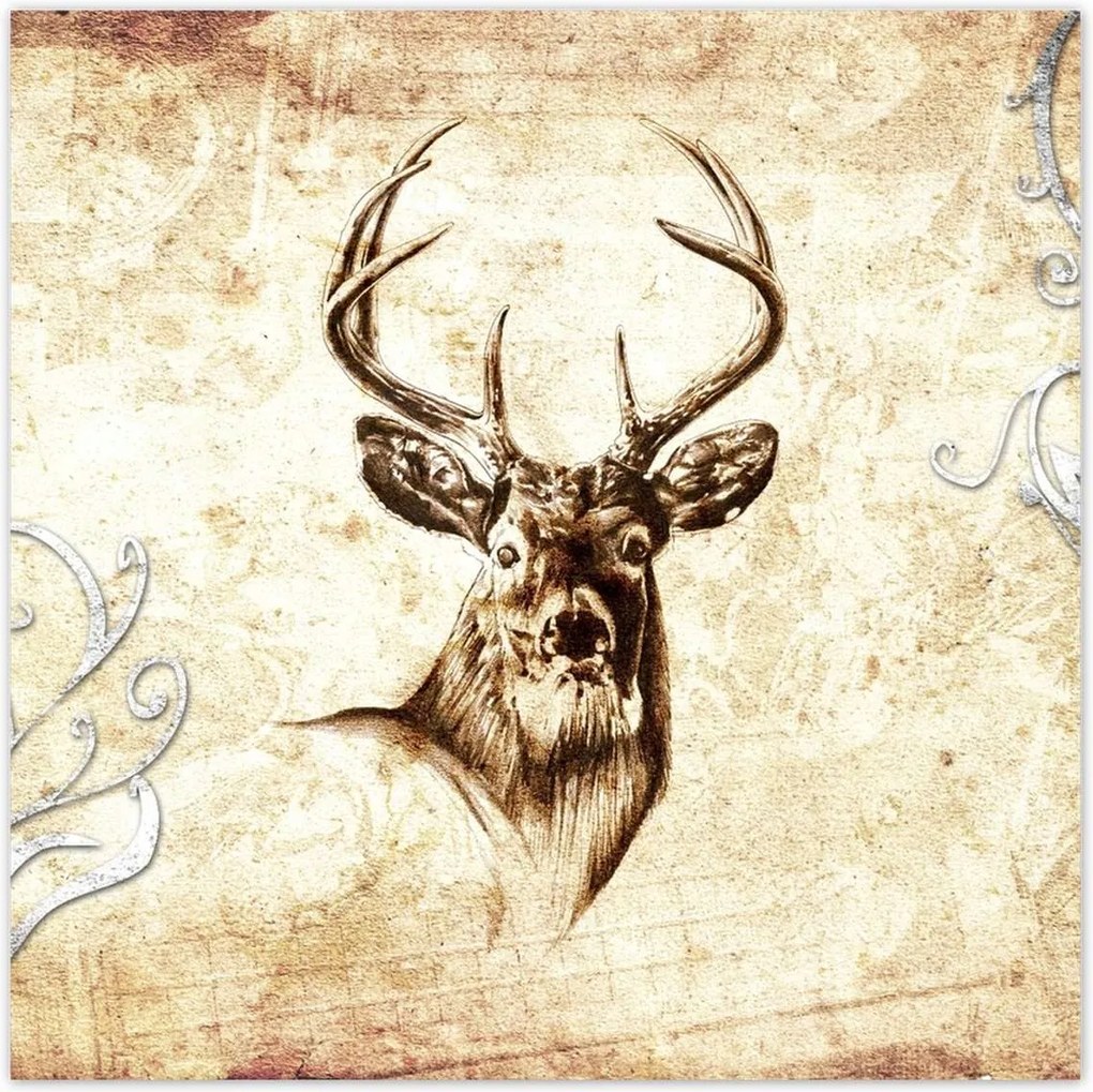 Poszterek 100x100 Szarvasfej