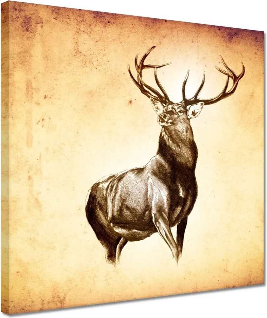 Vászonkép 30x30 Szarvas szarvakkal