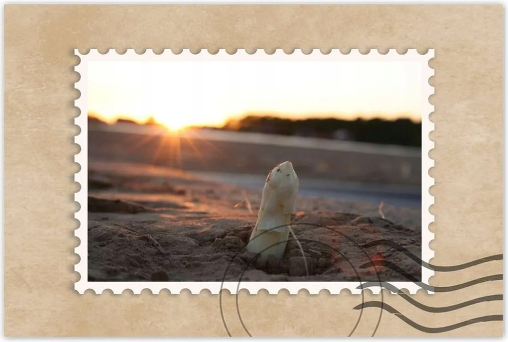 Poszterek 90x60 Spárga növekedés