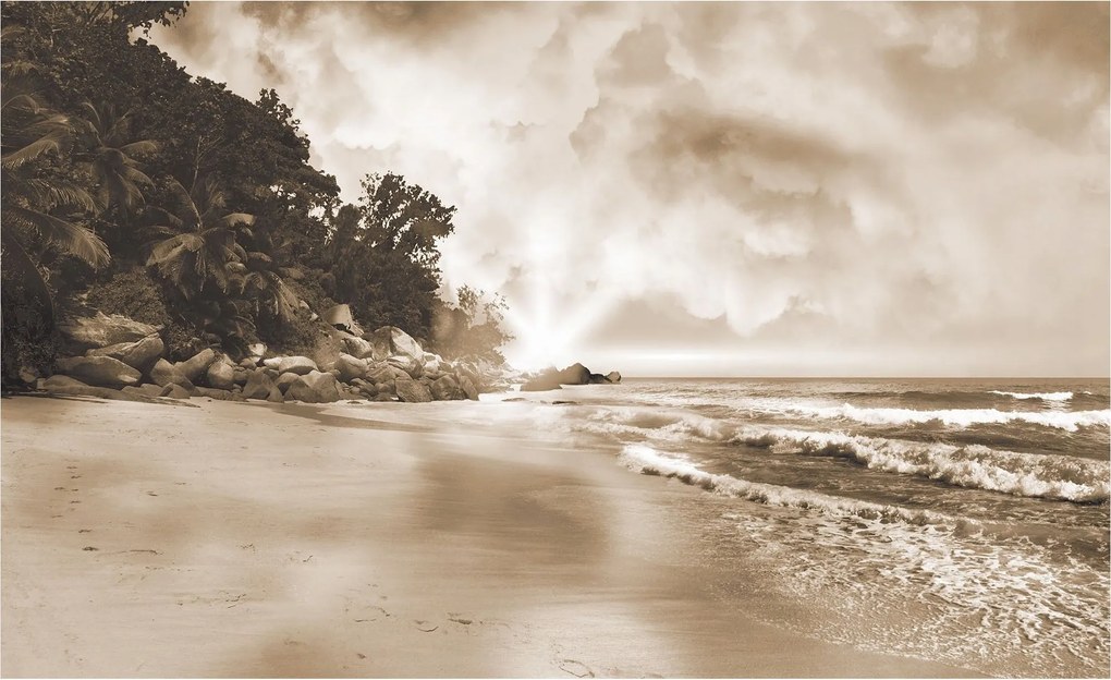 Flizelin fotótapéta Szépia tengerpart pálmafák óceán relaxáció 350x250 +ragasztó