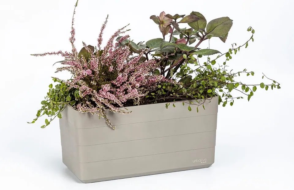 Műanyag önöntözős láda 39,5 cm Berberis – Plastia