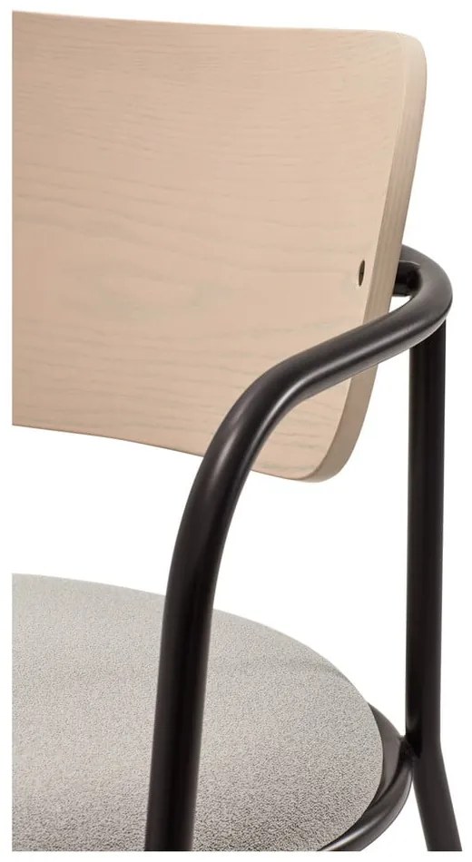 Világosszürke fotel kőrisfa dekorral Eclipse - Teulat