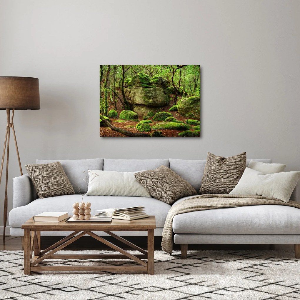 Egy varázslatos erdő képe (70x50 cm)