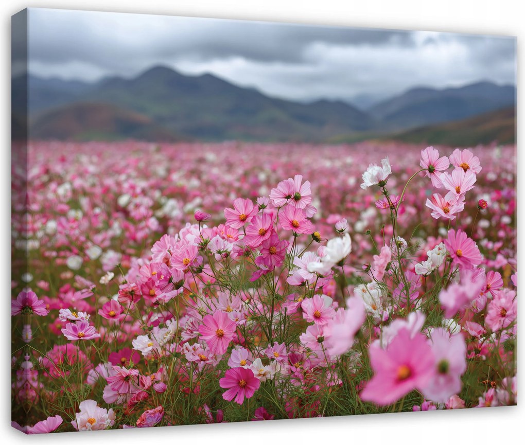 Vászonkép Virágok Mező Természet Tájkép Hálószoba Nappali Vászon 100x70