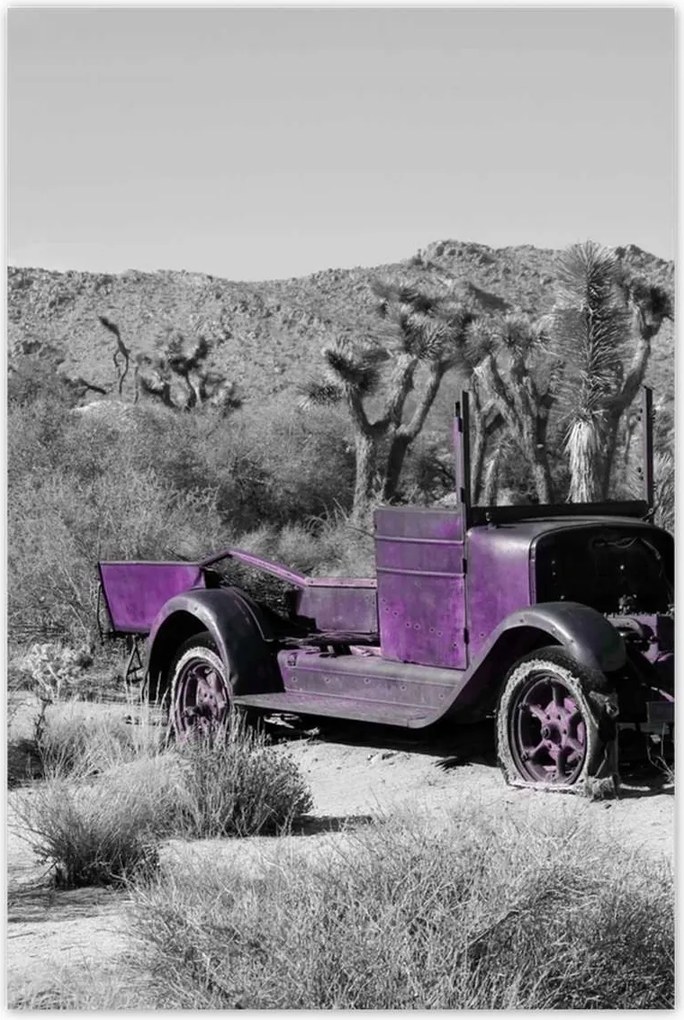 Poszterek 80x120 Lila autó Lövöldözős