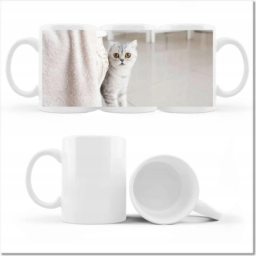 Cica fényképes bögre Cica