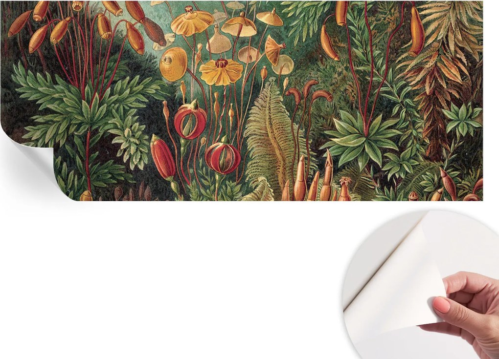 Fotótapéta Öntapadós Dekoratív tapéta Egzotikus kert 250x104 cm