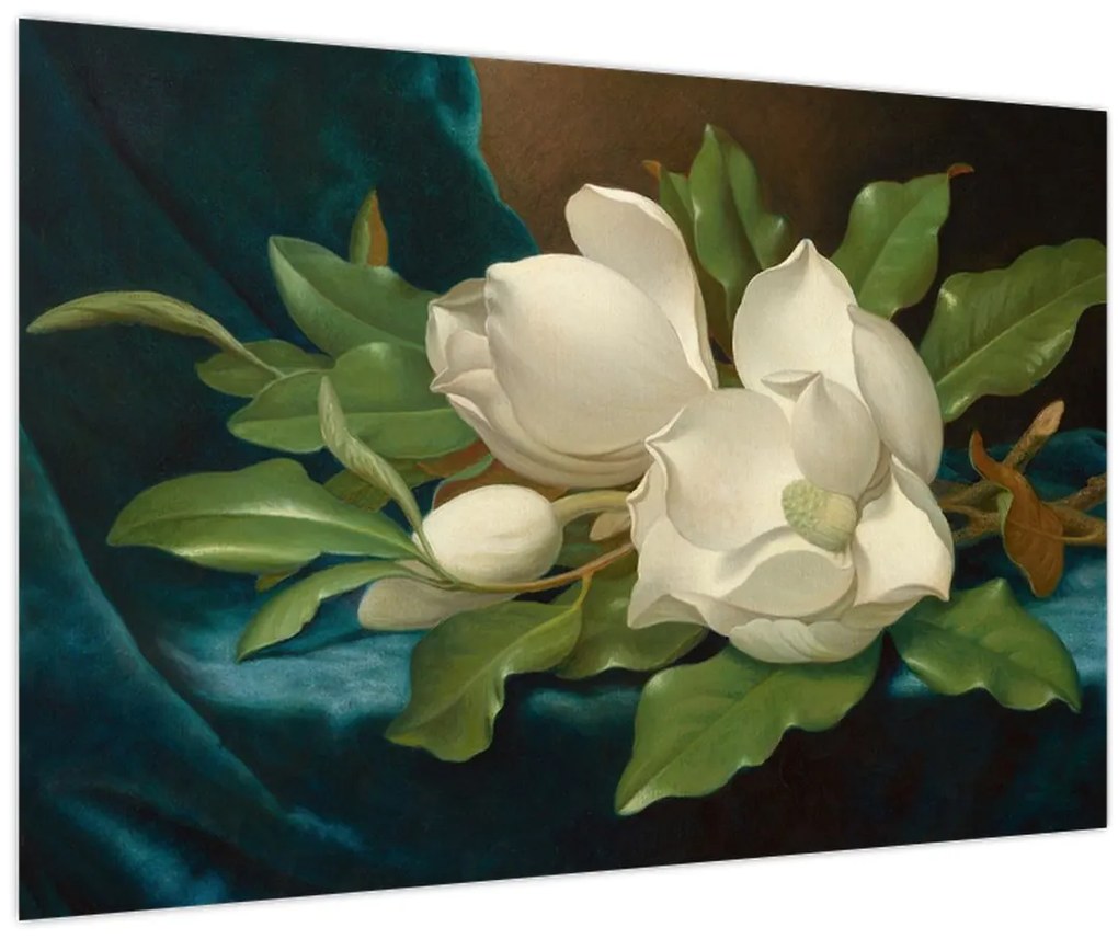 Kép - Martin Johnson Heade, Giant Magnolias on a Blue Velvet Cloth, reprodukciók (90x60 cm)