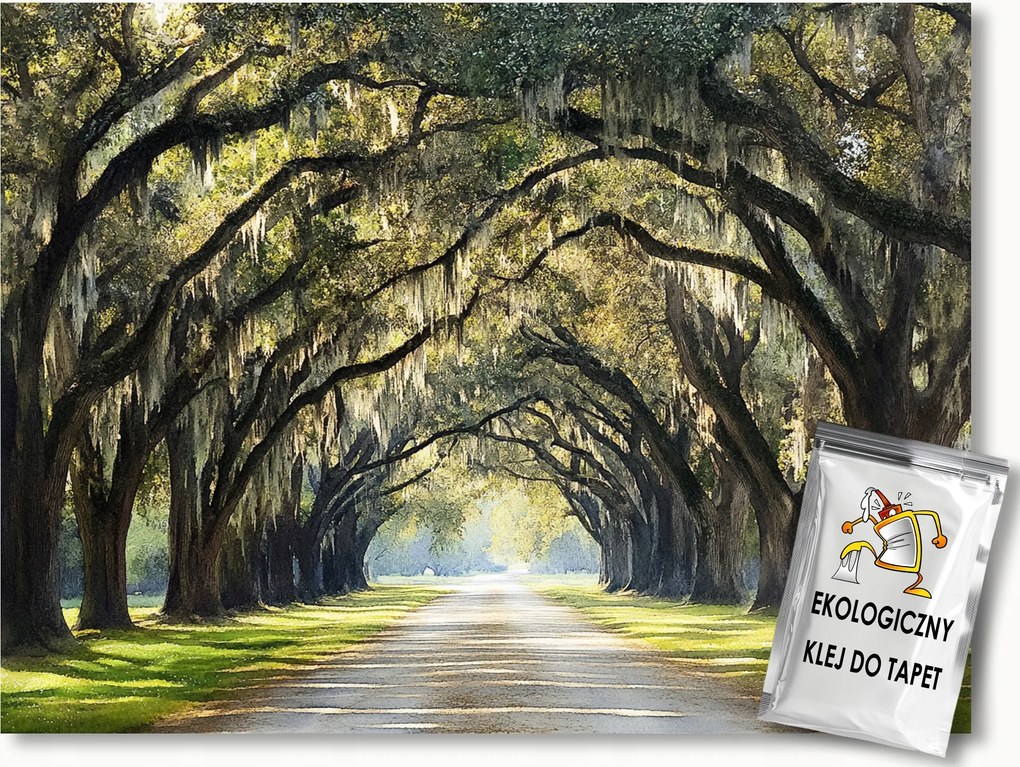 Fotótapéta Flizelina Tájkép Természet Út Sikátor Alagút Fa 104x70,5 ragasztó