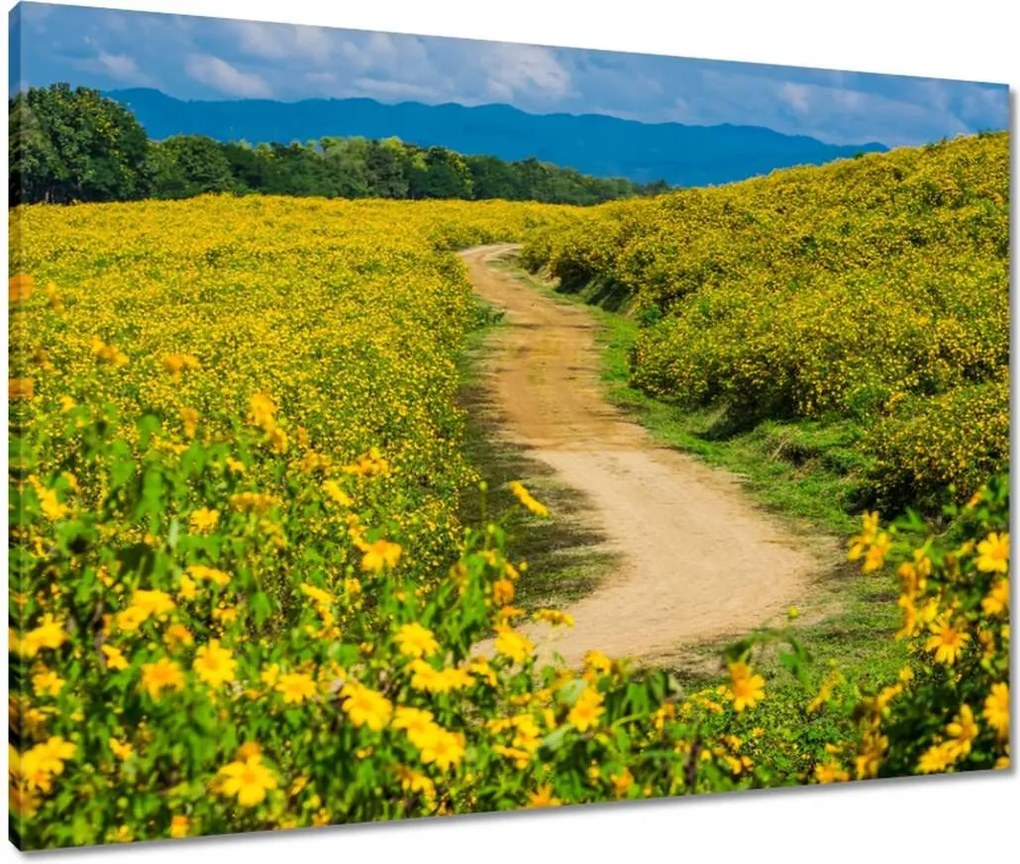 Vászonkép 80x60 Falusi tejút