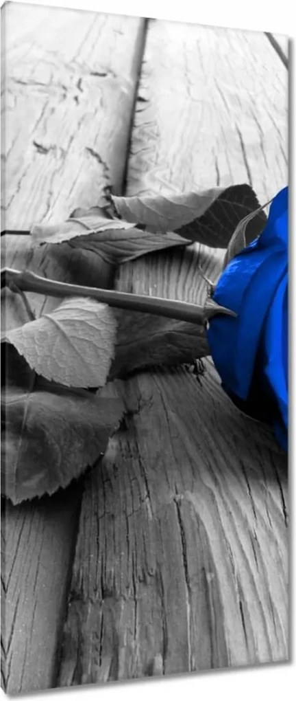 Vászonkép 55x115 Kék rózsa Ajándék