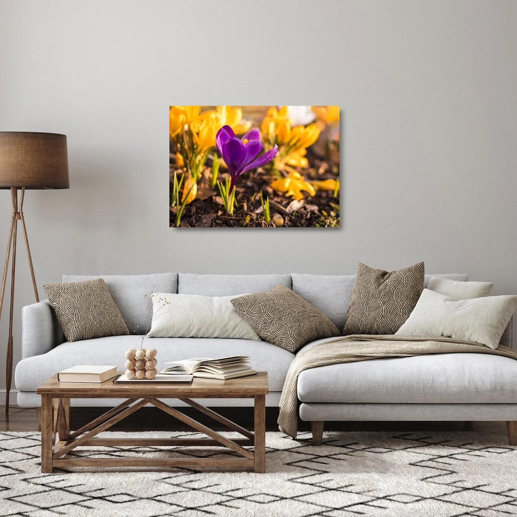 Lila virágok képe (üvegen) (70x50 cm)