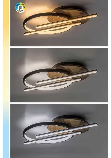 Rabalux 71404 - LED Mennyezeti lámpa ARASH LED/40W/230V 3000/4000/6500K