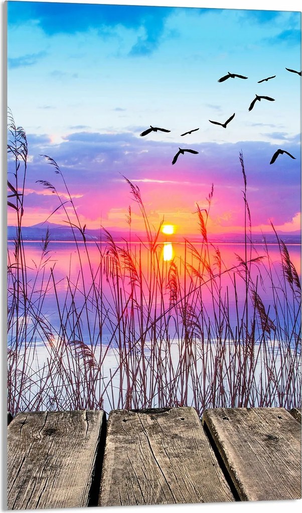 Üveg Vágódeszka 30x52 Kilátás a Konyhába