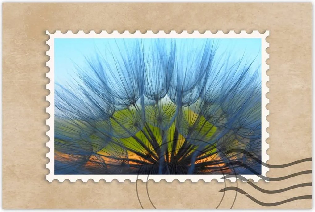 Poszterek 120x80 Pitypang Virág Virágok