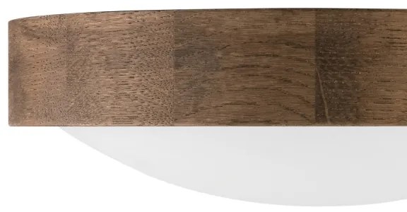 Brilagi - LED mennyezeti lámpa CARVALHO SLIM 1xE27/60W/230V dió 27 cm