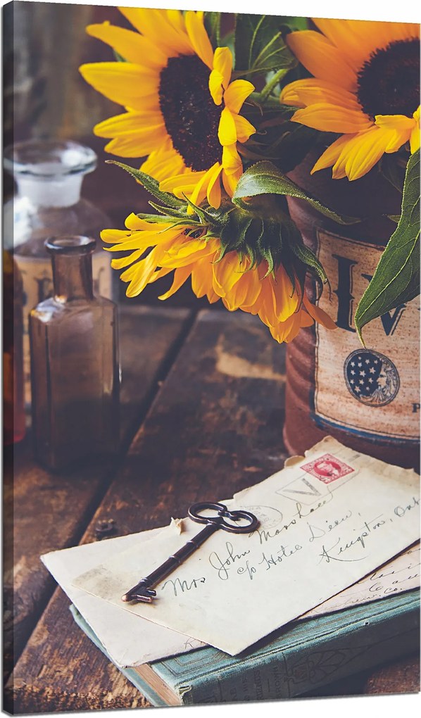 Vászonkép Botanika Levelek Napraforgók 70x120