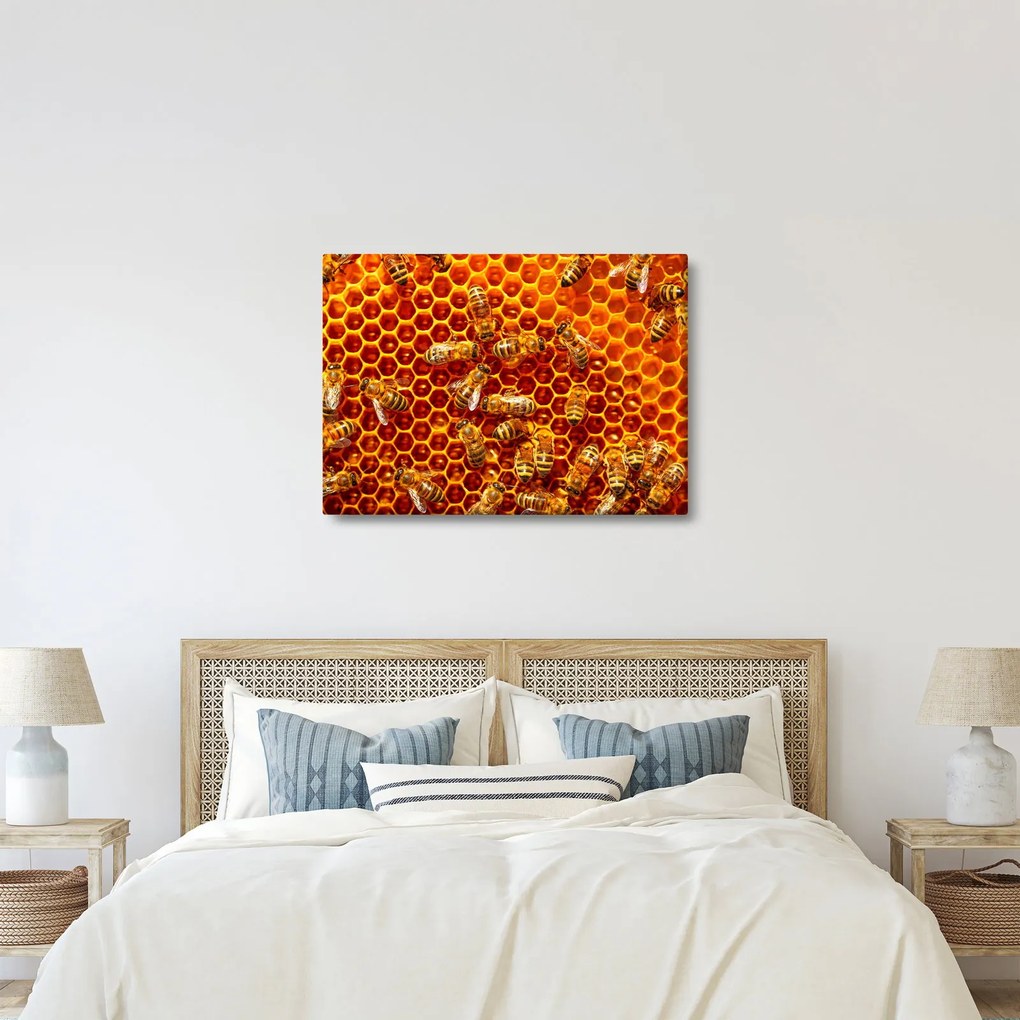 Kép - Méhsejtes (70x50 cm)
