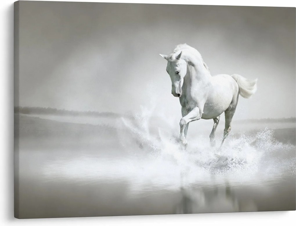 Kép - Fehér ló (70x50 cm)