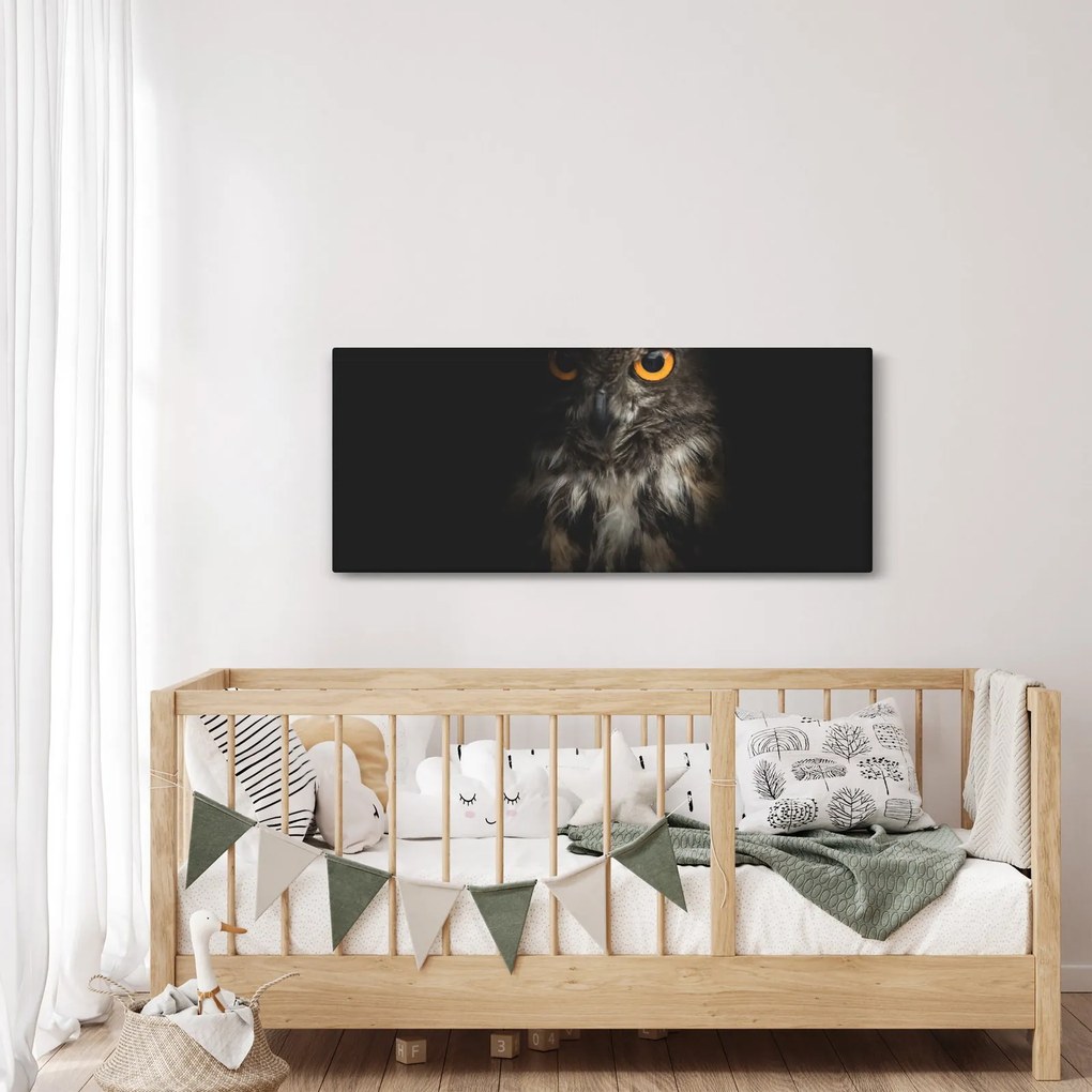 Bagoly képe (120x50 cm)