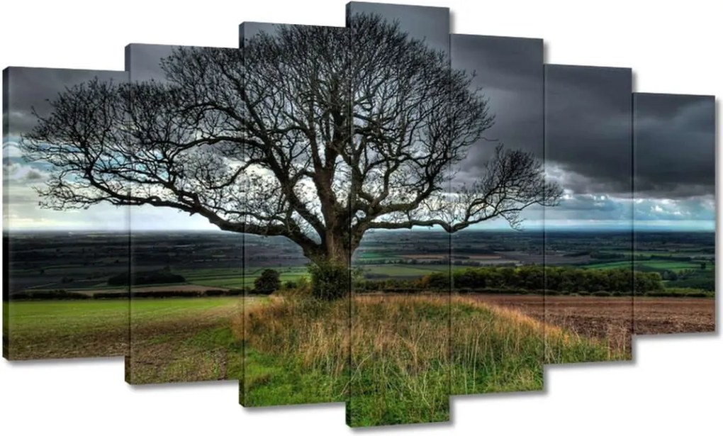 Festmények 140x80 Fa tájkép