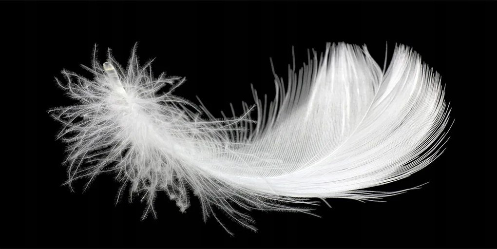 Fotó-kép fotó edzett üveg Toll 140x70