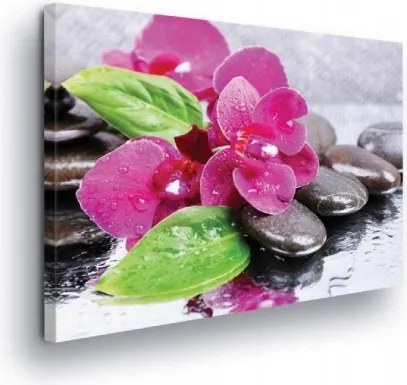 Vászonkép 80x60 Orchidea kövek spa pihenés harmónia természet rózsaszín zöld