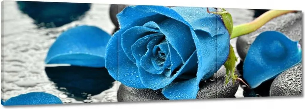 Vászonkép 120x40 Kék rózsa kövek